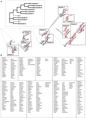 Insights on the Structural Variations of the Furin-Like Cleavage Site Found Among the December 2019–July 2020 SARS-CoV-2 Spike Glycoprotein: A Computational Study Linking Viral Evolution and Infection